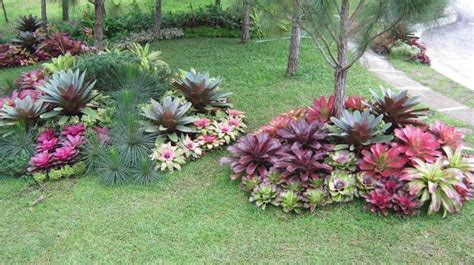 Philippine Gardener Gardens At Crosswinds Tagaytay Makeover As An Exhibit Bromeliads