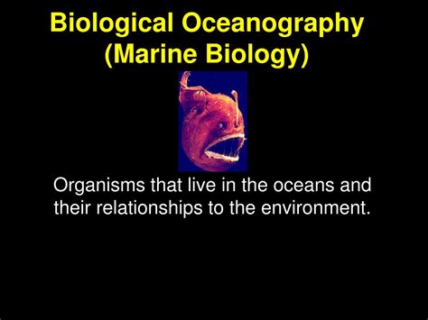 Oceanography Vs Marine Biology