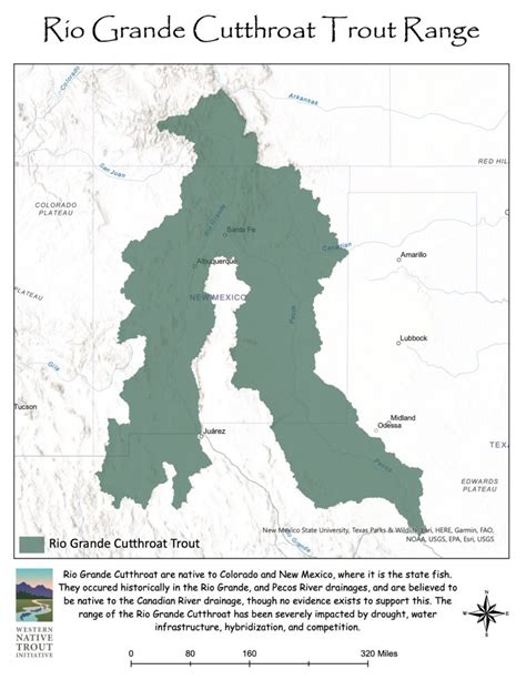 Rio Grande Cutthroat Trout Western Native Trout Initiative