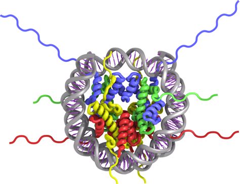 Histone Database 2.0