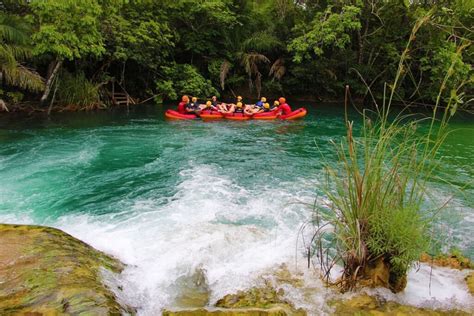 Parque Ecol Gico Rio Formoso Em Bonito Vale A Pena