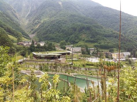 Wolong Giant Panda Nature Reserve Wenchuan County Ce Qu Il