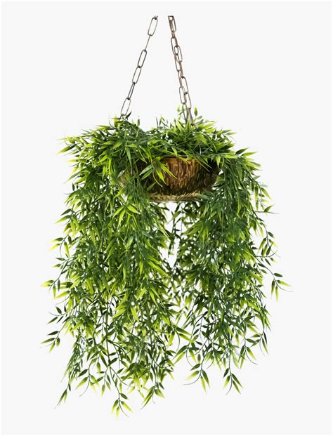 Hanging Plants Png Hanging Flower Pots Png Transparent Png