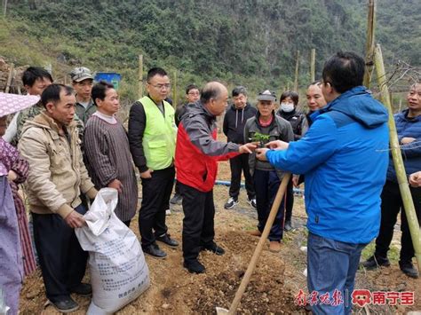 广西水果专家下乡结对帮扶，让群众既“富口袋”又“富脑袋”手机新浪网