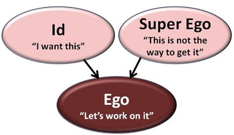 What is Psychoanalytic Theory? definition, meaning and example ...