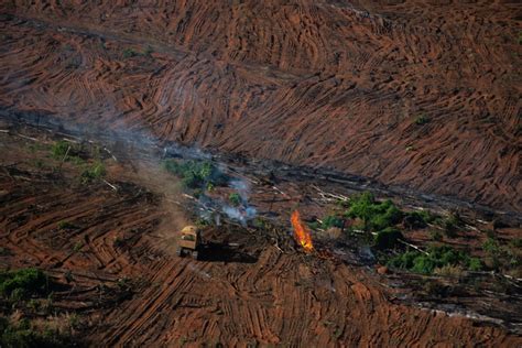 Amazzonia Anni Di Deforestazione Le Drammatiche Foto Di Greenpeace