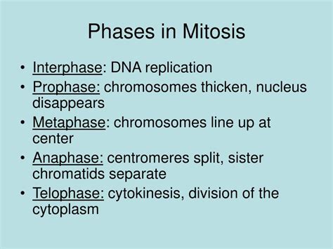 Ppt Prokaryotic Cell Reproduction Binary Fission Powerpoint