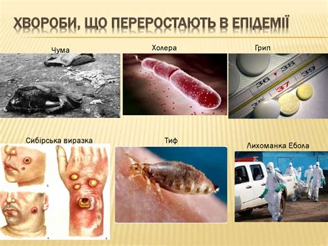 Поняття про Епідемію та Пандемію. Імунітет та його форми - презентация ...