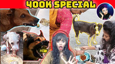 Giving Food To 🐶street Dogs🥹 ‼️ 400k Spcl🥰 Subscriber Live Task🔴