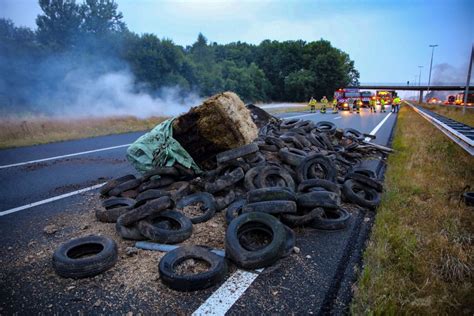 Dutch Farmer Protests Show How Messy Climate Action Will Be | TIME