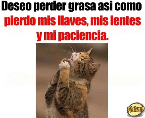 Pin De Monilovesol En Memes Frases De Educacion Imagenes Chistosas