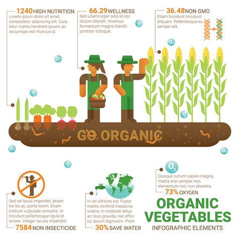 Healthy Food Organic Vegetables 622329 Vector Art At Vecteezy