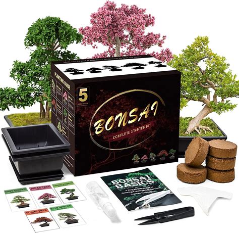 Meekear Bonsai Tree Kit With Complete Plant Growing Tools