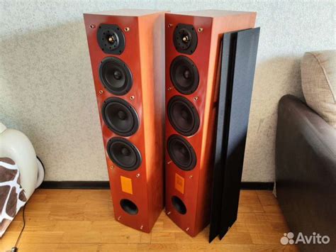 Колонки Triangle Antal 202 купить в Москве | Электроника | Авито