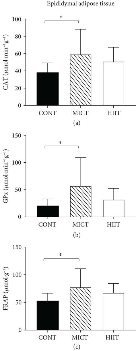 Effects Of Weeks Of Exercise On A Cat Molmin G And B Gpx