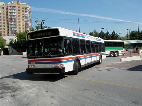 Brampton Transit Showbus Bus Image Gallery Canada