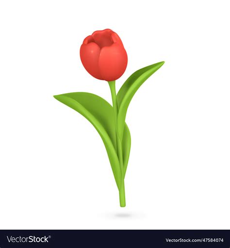 D Cute Colorful Spring Flower Tulip In Cartoon Vector Image