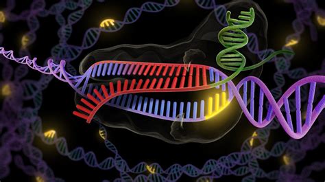 What Does Crispr Look Like