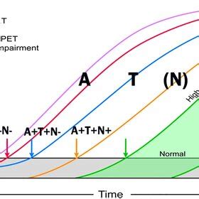 Dynamic Biomarker Model Modified Amyloid Cascade Timeshifted Curves