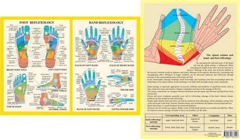 Hand Foot Reflexology A Baarle Jan Van Amazon De B Cher