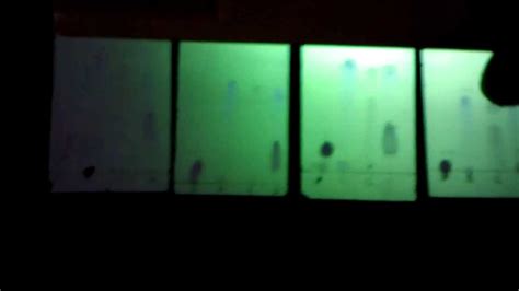 Oxidation Reduction Of Alcohols Observed Under Uv Light On Gel Tlc Plates Youtube