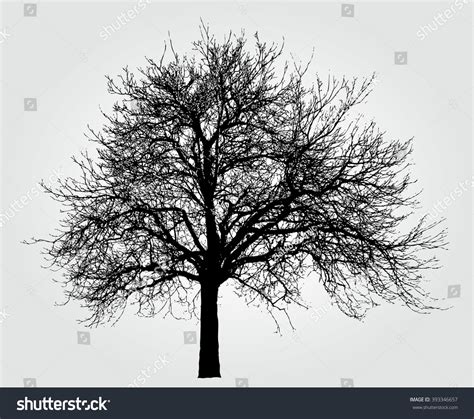 Vector Drawing Big Naked Winter Tree Stock Vector Royalty Free 393346657