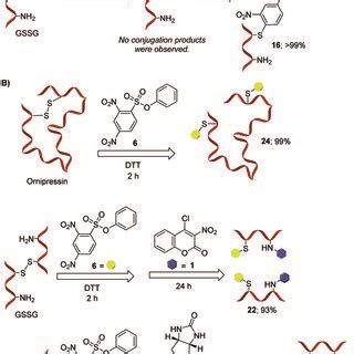 Chemoselective Thiol Ligation Upon Reductive Disulfide Cleavage A