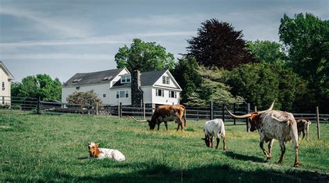 Mystic Countryside Farm Stylish Vacation Rental In Connecticut