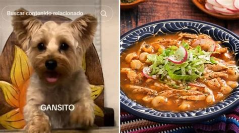 Perrito Se Vuelve Viral En Tiktok Por Pedir Con Ternura Un Plato De