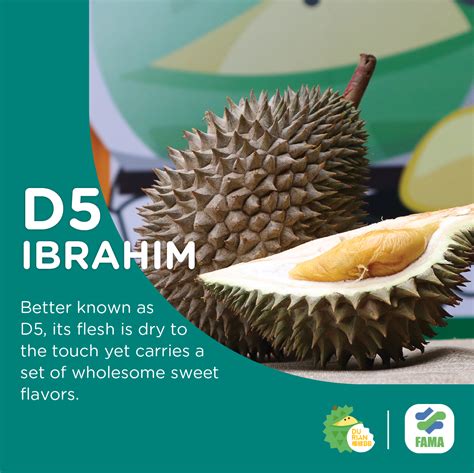 20 Must-Try Durians In Malaysia - DurianBB Malaysia