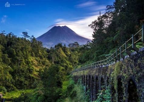 Jembatan Lokasi Syuting Kkn Di Desa Penari Viral Ternyata Tempat