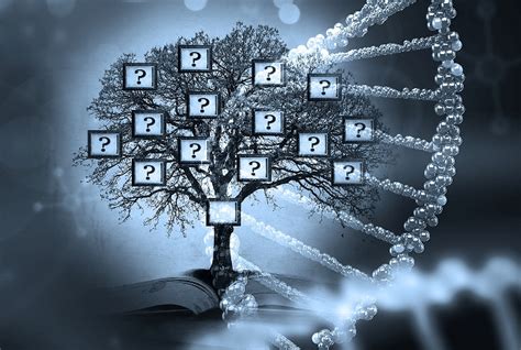 Forensic Genealogy How New Advances In Dna Analysis Can Help Solve