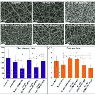 Structural parameters of studied scaffolds. (A)-SEM images of ...