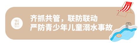 直通录取场丨2023年重庆市普通高校招生信息表 普通类本科批（历史类 降分投档）教育思想创业