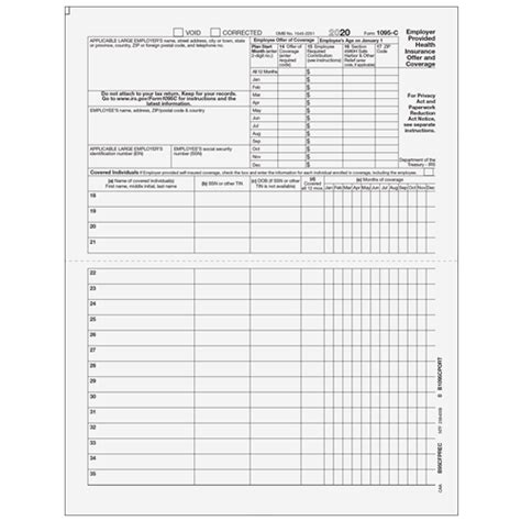 Preprinted 1095 C Full Page Form Winstructions B95cfprec05