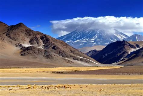 11 Fotos Que Te Harán Enamorar Del Norte Argentino