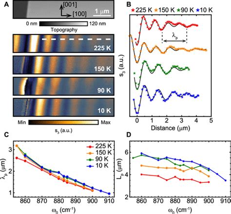 Unveiling the Mechanism of Phonon Polariton Damping in α MoO3 ACS