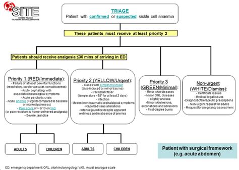 Algorithm For The Management Of Patients With Sickle Cell Disease In Download Scientific