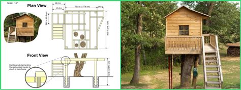 Cool Tree House Plans Learn How To Build A Tree House