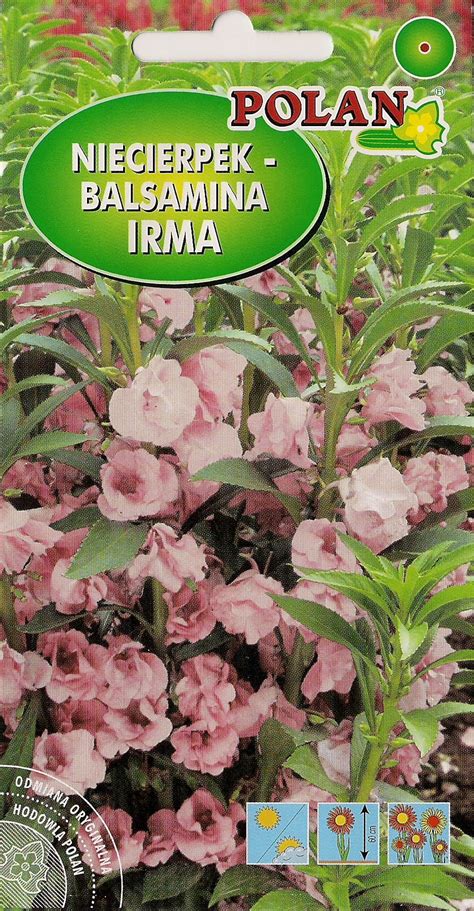 Niecierpek Balsamina Irma G Impatiens Balsamina Nasiona Agromarket Pl