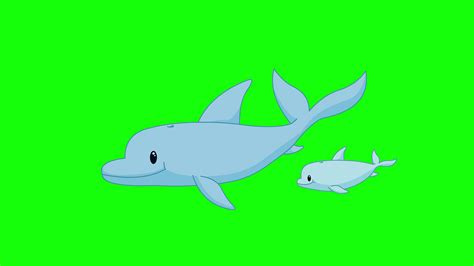 Cartoon Green Screen Animals Dolphins 2d Animation 3675630 Stock