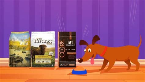 15 Top Dog Food Brands: Best Dry Dog Foods [Updated 2024]