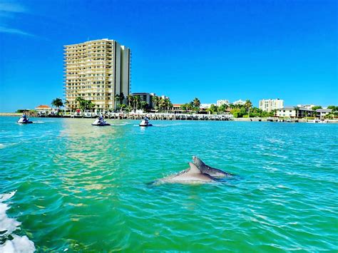 marco island travel guide meghan laurie