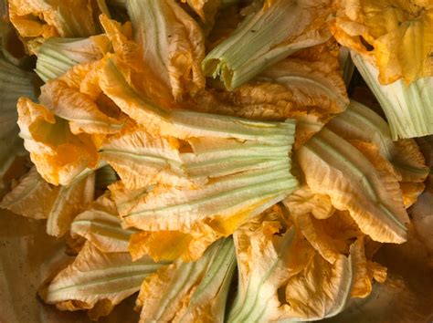 Organic Pumpkin Flower Odia Style Greendna® India