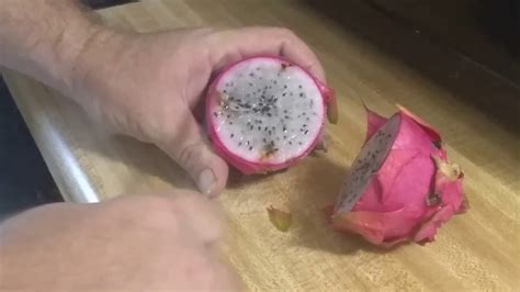 Dragon Fruit Harvest Tasting And Propagation Youtube