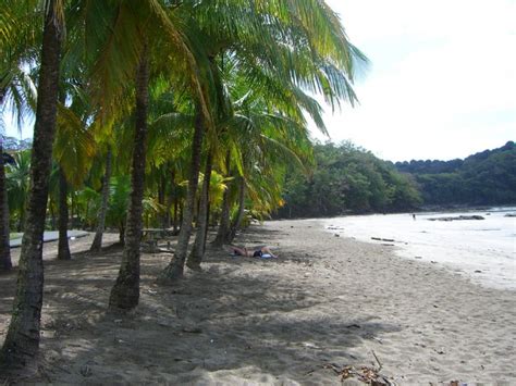 The Untouched Tropical Paradise Of Playa Carrillo Go Visit Costa Rica