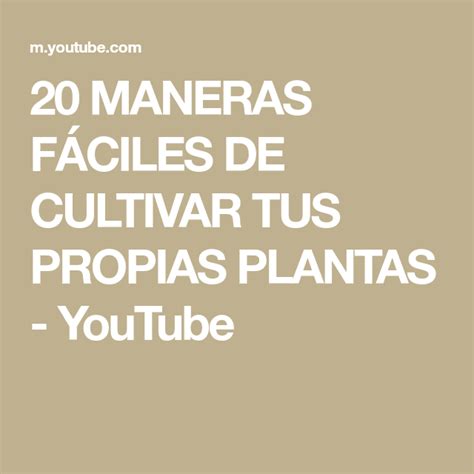 20 MANERAS FÁCILES DE CULTIVAR TUS PROPIAS PLANTAS YouTube Aloe