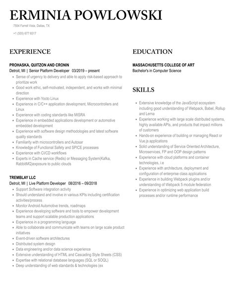 Platform Developer Resume Samples Velvet Jobs