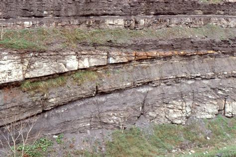 Crevasse Splay Archives Geological Digressions