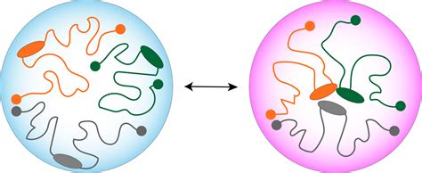 4d Nucleome